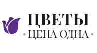 Цветы цена одна