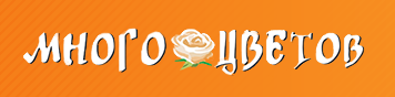 Много цветов