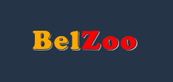 BelZoo